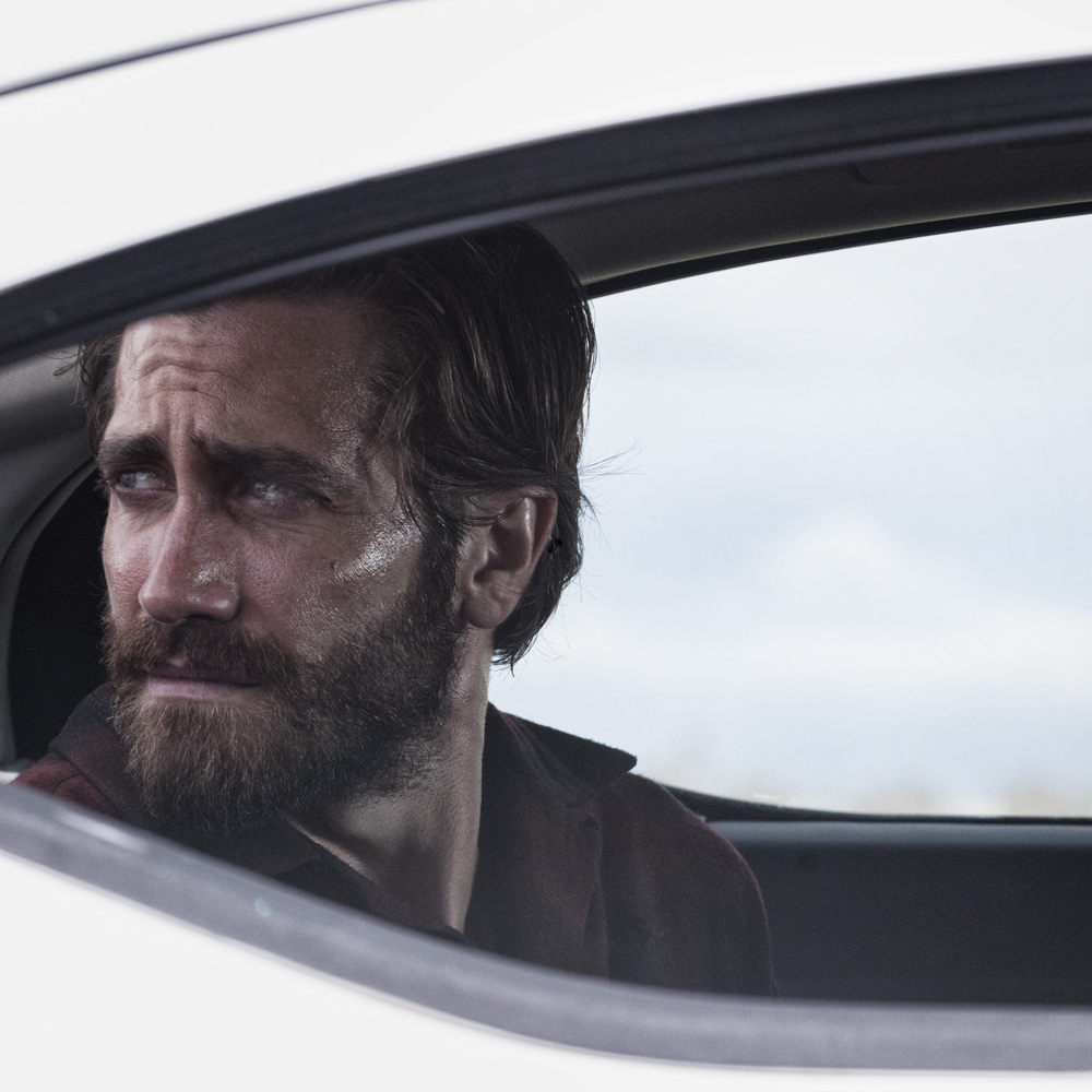  Venezia 73 applausi per "Nocturnal Animals" con Jake Gyllenhaal