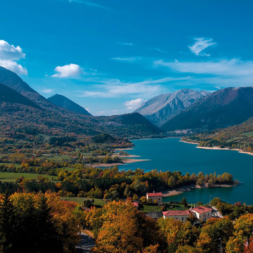 Abruzzo, i cervi corrono alla ricerca di acqua