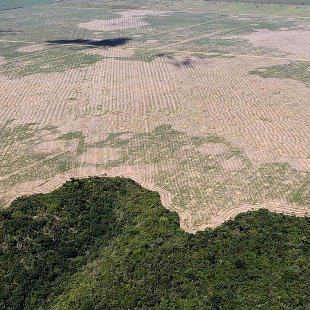 Amazzonia, dati ufficiali confermano deforestazione in atto