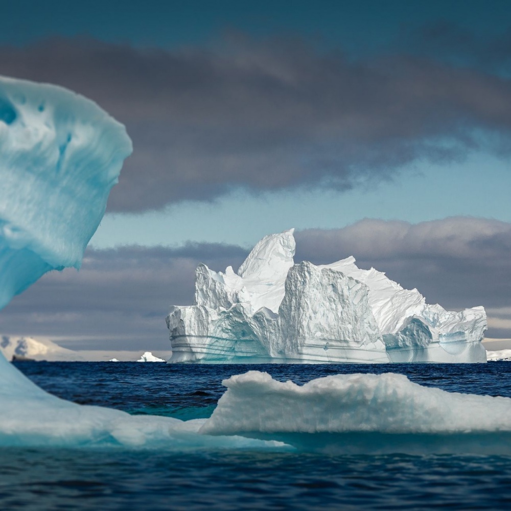 Antartide, resti di antichi animali nel lago perduto