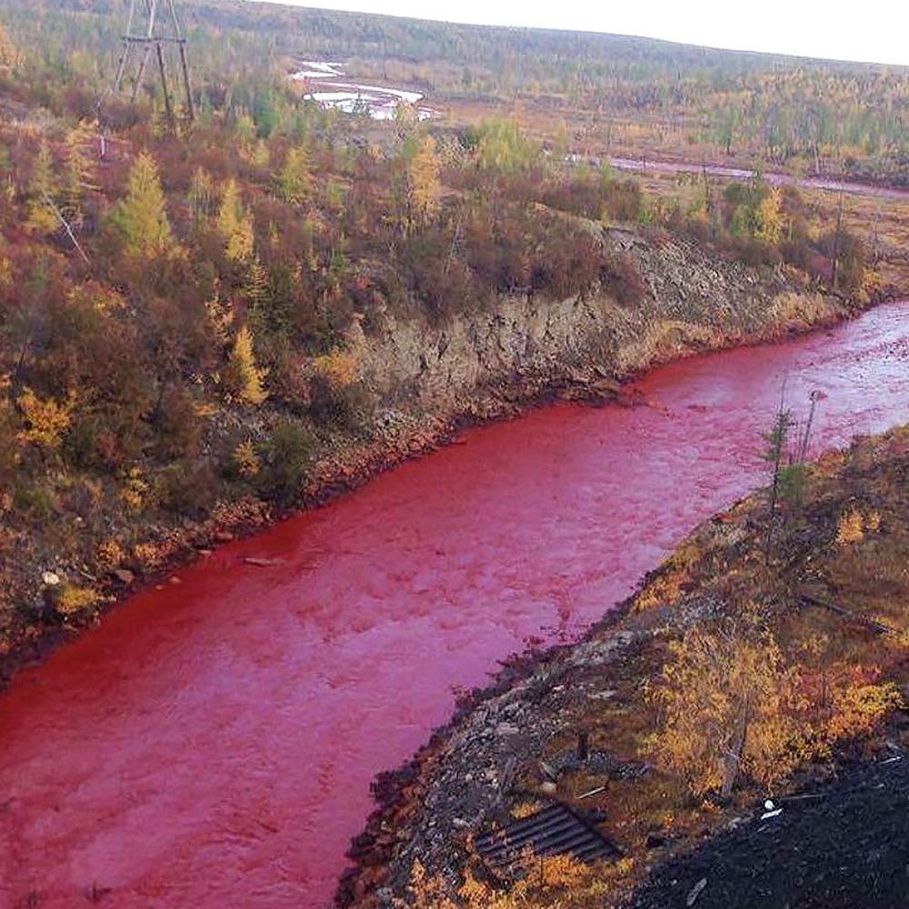 Antibiotici nei fiumi del mondo, 300 volte oltre i limiti