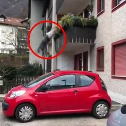 Bolzano, litiga con un uomo in strada e cade dal balcone, il video