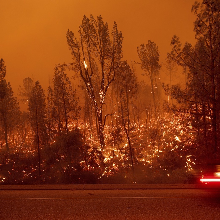 California, incendi, 5 morti, migliaia di persone evacuate