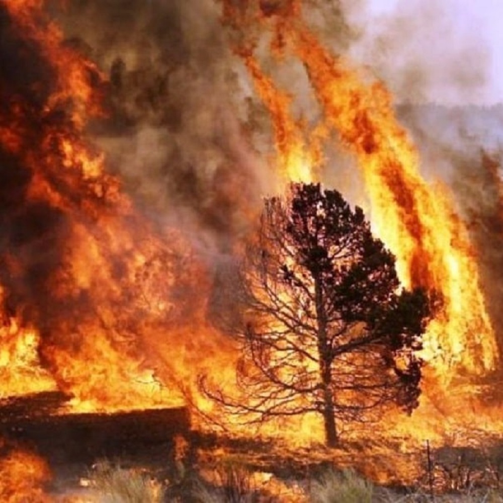 California, sale a 77 il bilancio delle vittime per gli incendi