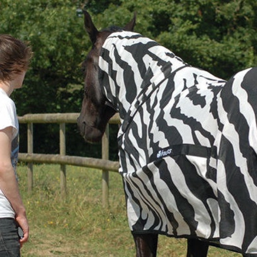 Cavalli mascherati da zebre rivelano il segreto delle strisce