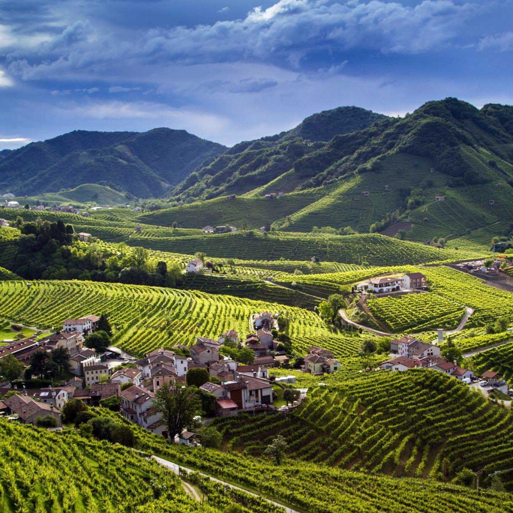 Colline Prosecco, sì di Icomos all'iscrizione nella Lista Unesco