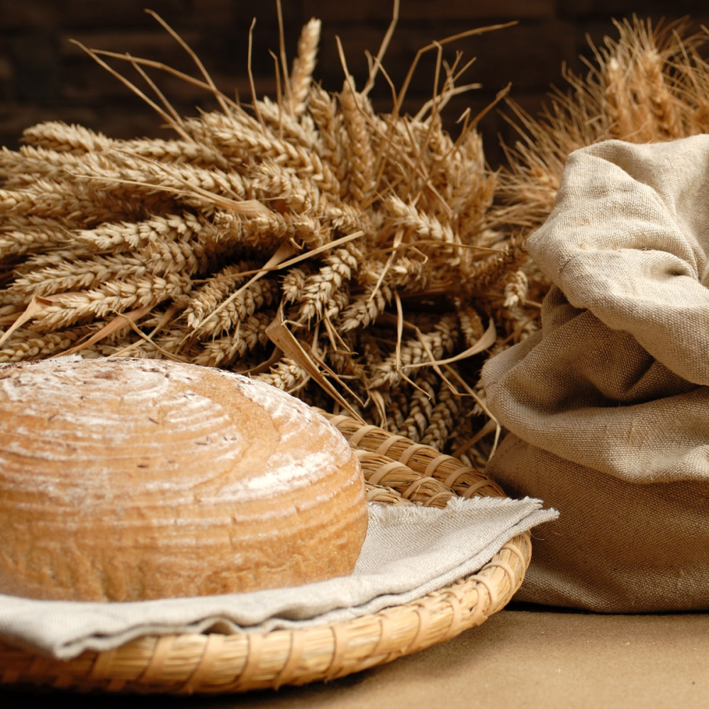 Dal grano al pane il prezzo aumenta di 15 volte