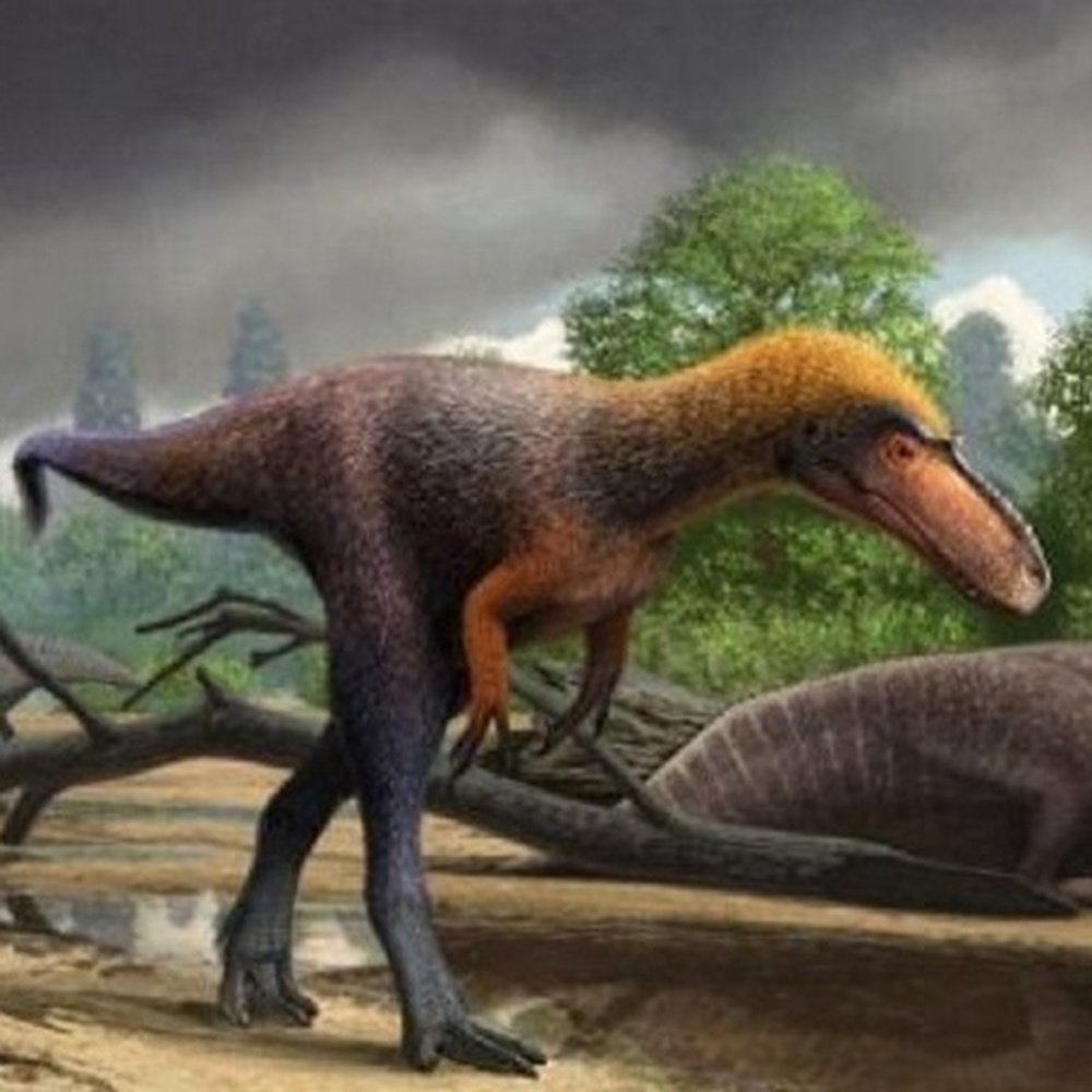 E' stato scoperto il cugino più piccolo del dinosauro T-rex