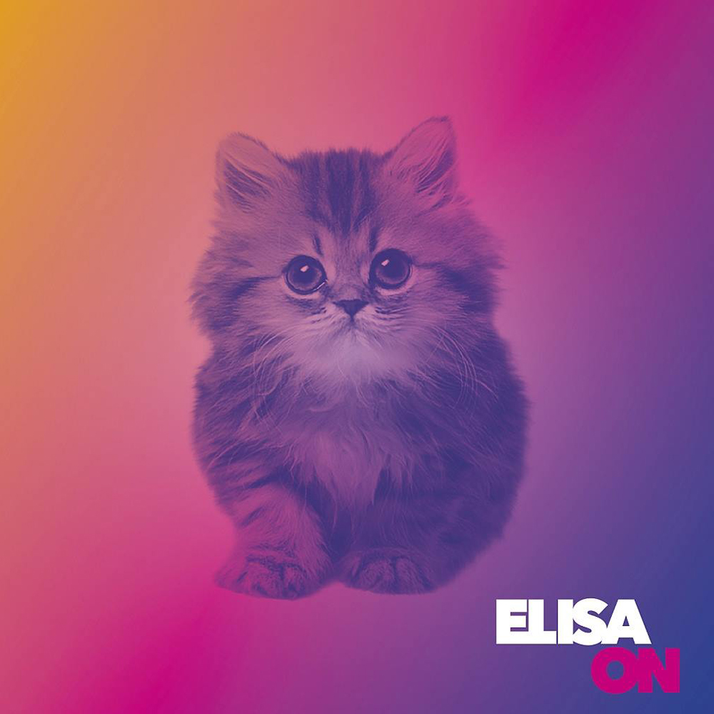 Elisa, un gattino sulla copertina del disco