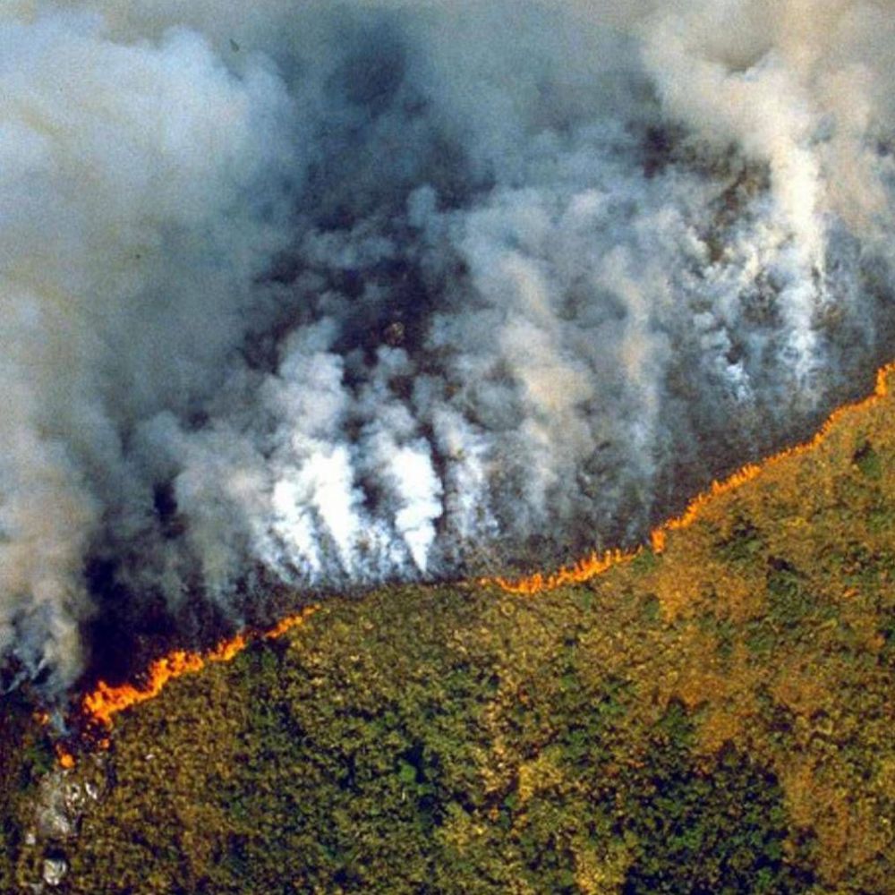 Emergenza incendi in Amazzonia, Merkel, il G7 ne parli