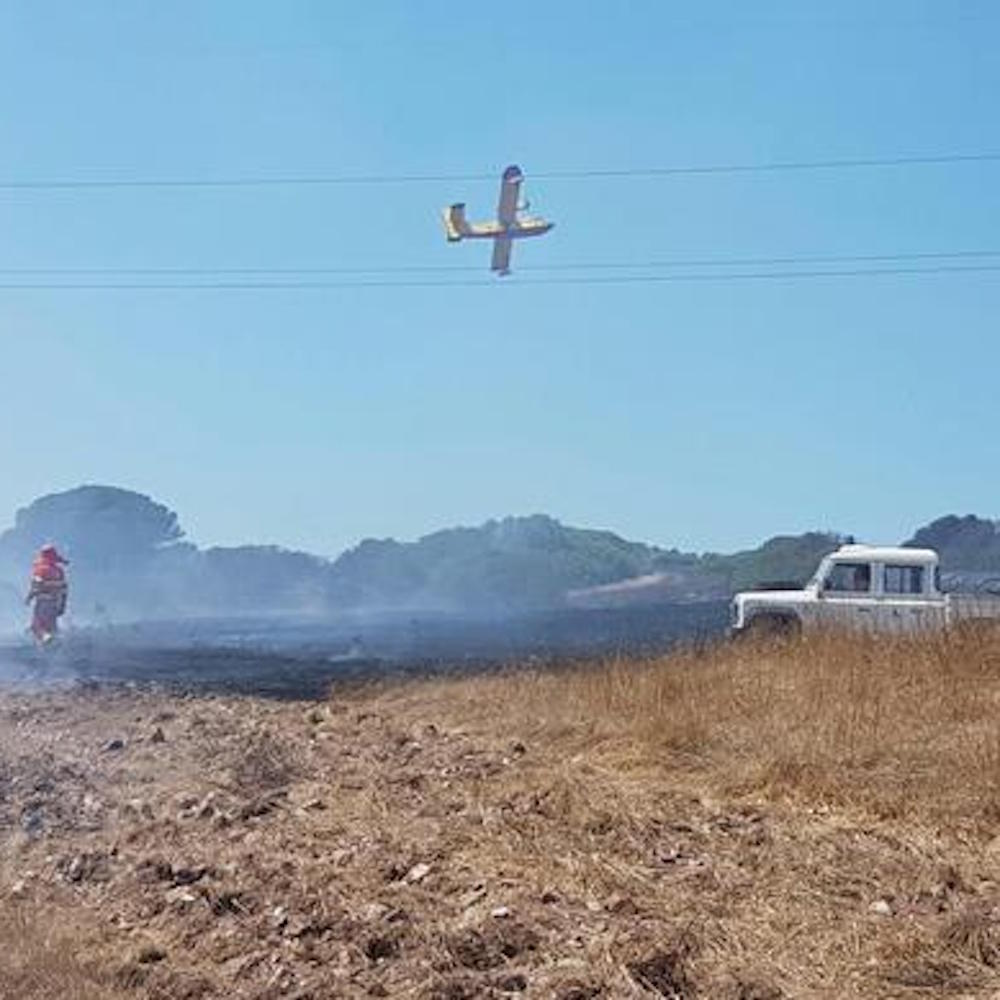 Emergenza incendi: in Puglia brucia il Gargano, chiusa la statale 89