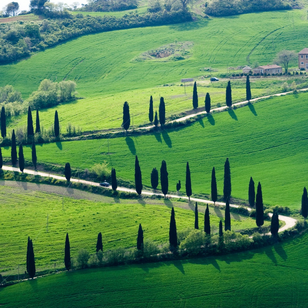 Enogastronomia, la meta preferita dai turisti è la Toscana