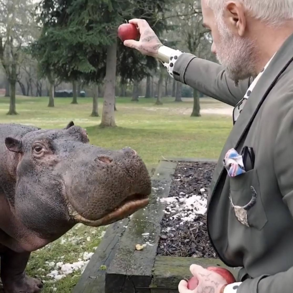 Gianluca Vacchi, video virale con ippopotamo, indagine carabinieri