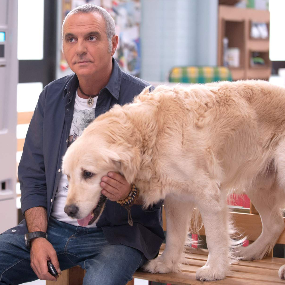 Giorgio Panariello, un veterinario dal cuore d'oro