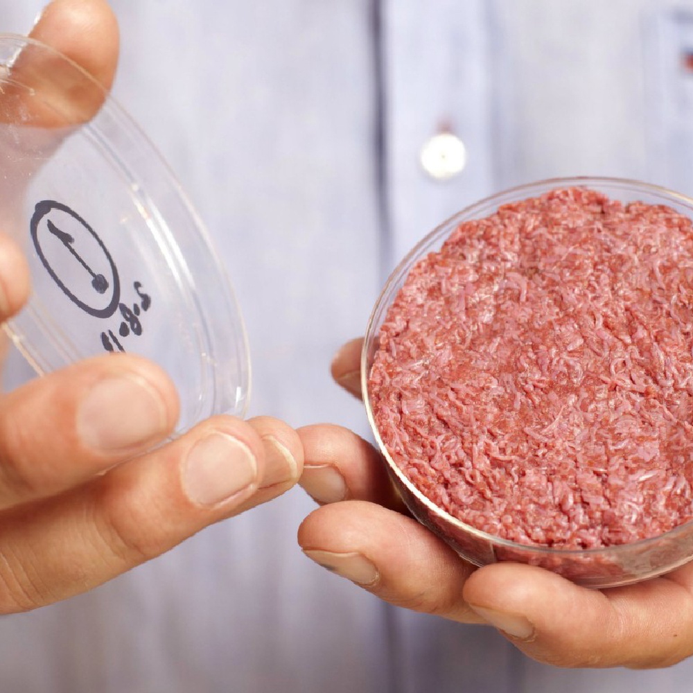 Il biotech punta su carne in provetta e pelle vegetale