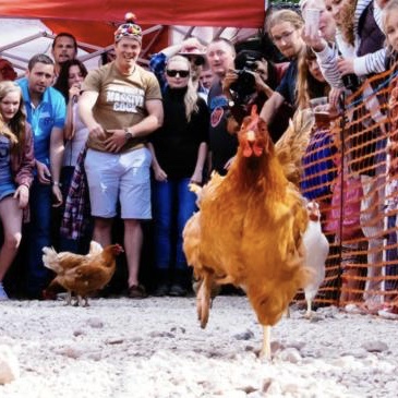 Il Campionato Mondiale di corsa delle galline esiste! 