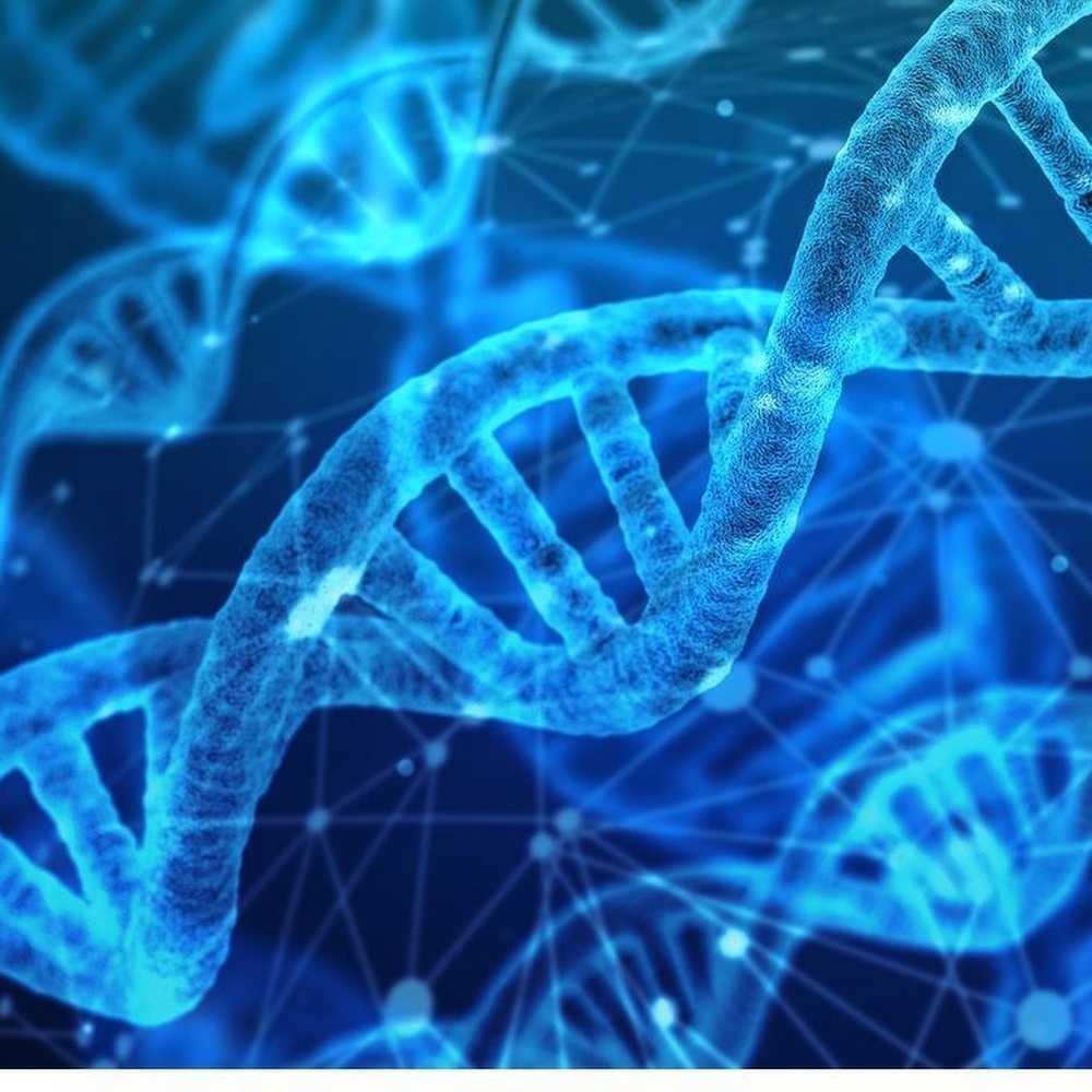 Il Codice a barre Dna accelera la scoperta di nuove specie