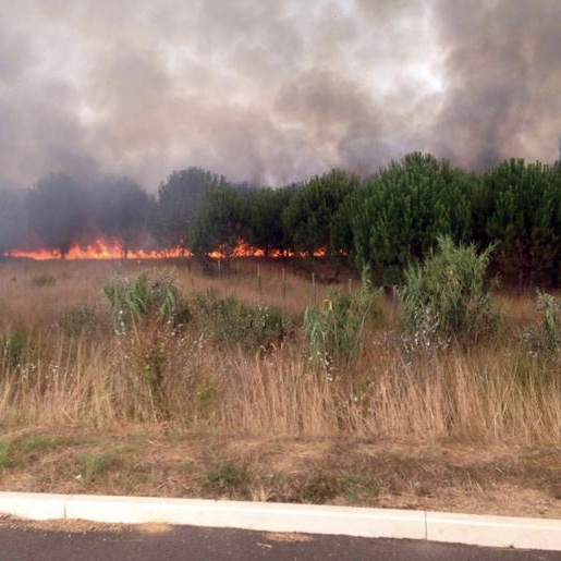 Incendi appiccati dai volontari dei Vigili del Fuoco