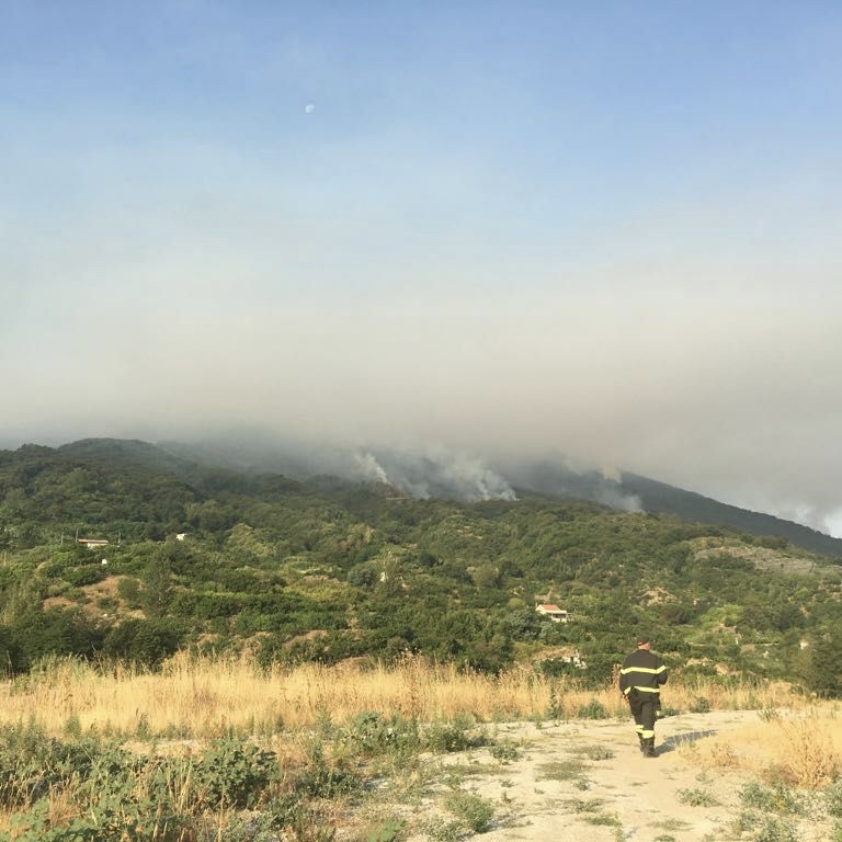 Incendi, emergenza nel Sud Italia