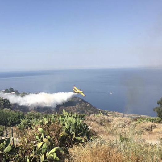 Incendi, un uomo morto carbonizzato in Calabria