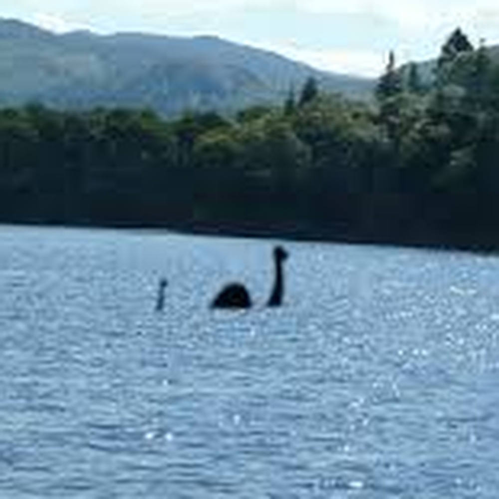 Loch Ness, Nessie potrebbe essere un'anguilla gigante