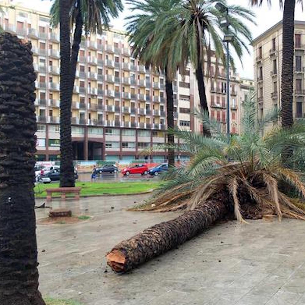 Maltempo arriva in Sicilia, scuole chiuse in molti comuni