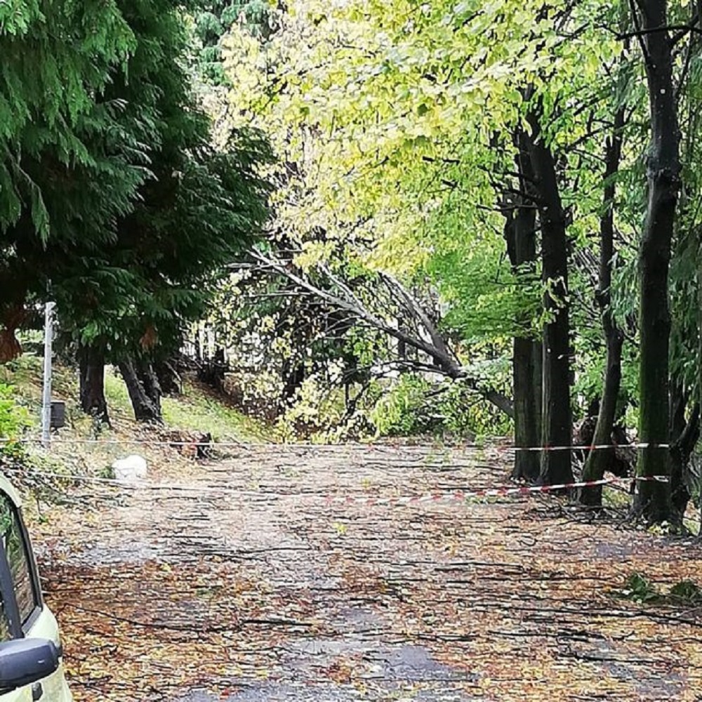 Maltempo, Valle d'Aosta, cade albero su un auto, due morti