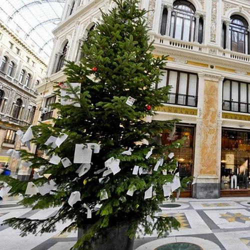 Napoli, rubato albero di Natale dalla Galleria Umberto