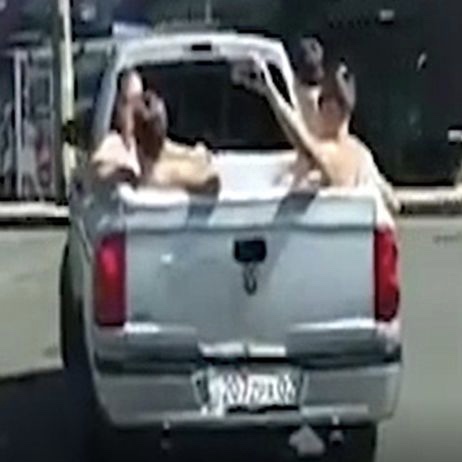 Piscina in auto: ecco il video