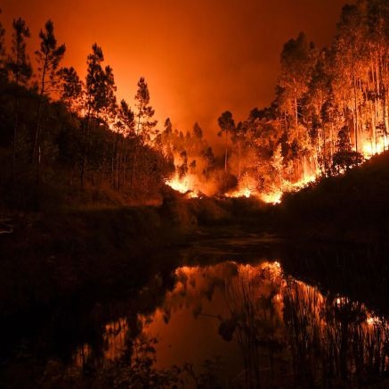 Portogallo, incendio provocato da un fulmine