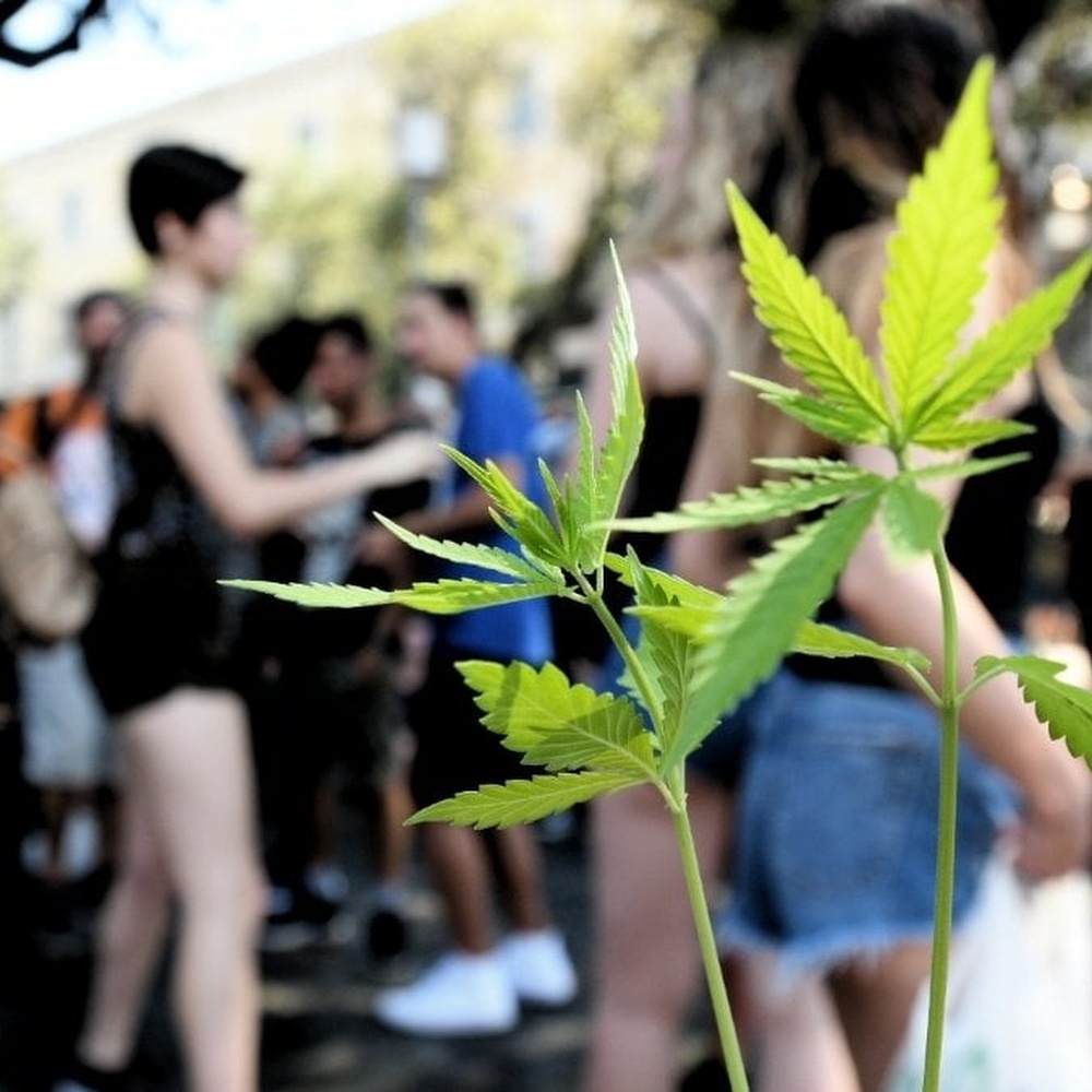 Roma, sabato la marcia a favore della marijuana