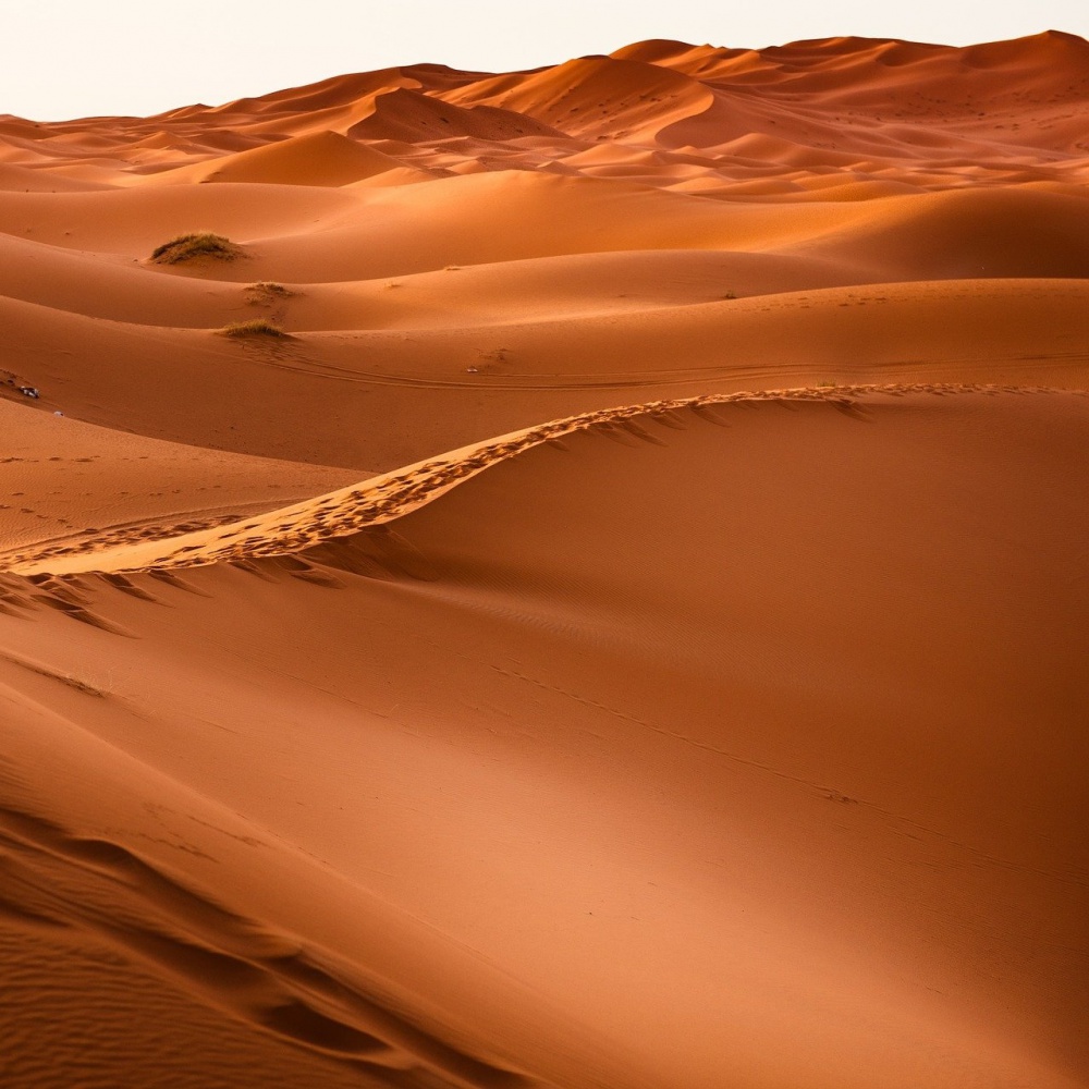 Sahara, ogni 20 mila anni da deserto a pianura verde