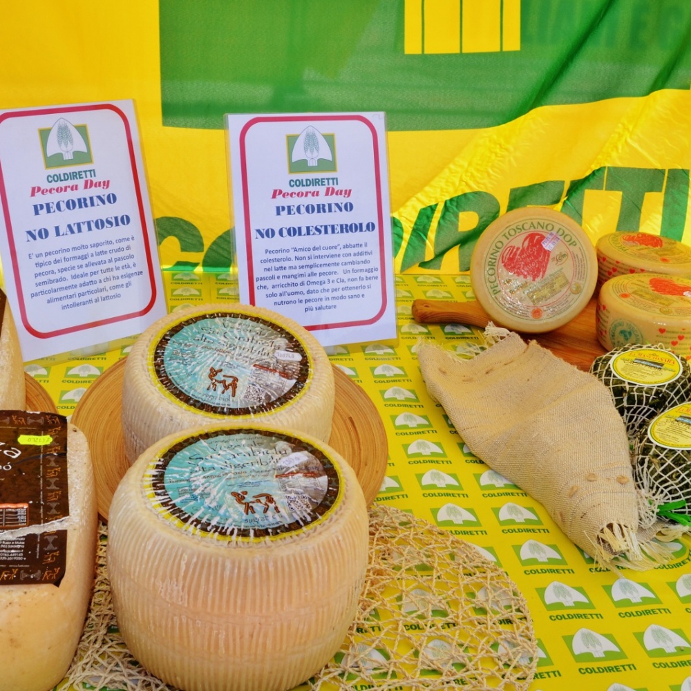 Pastori sardi, parte il Pecorino Day in tutta Italia