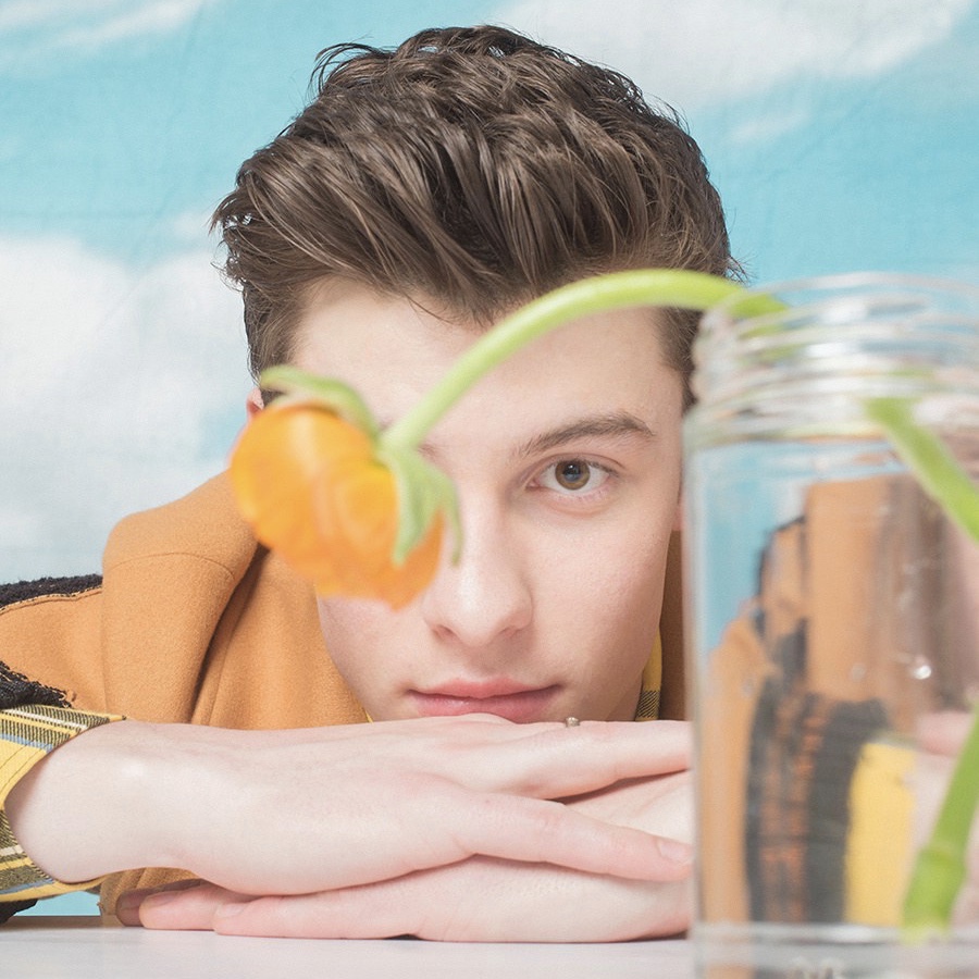 Shawn Mendes a Paper: la sua vita e il rapporto con i fan