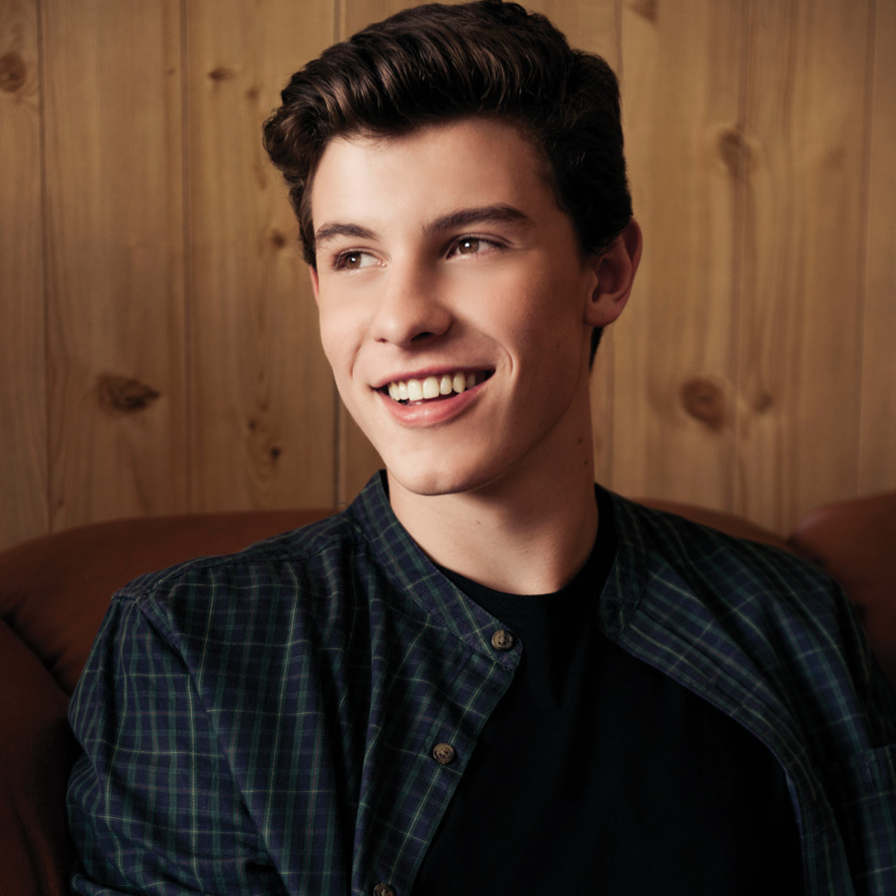 Shawn Mendes e la violenza sulle donne in "Treat You Better"