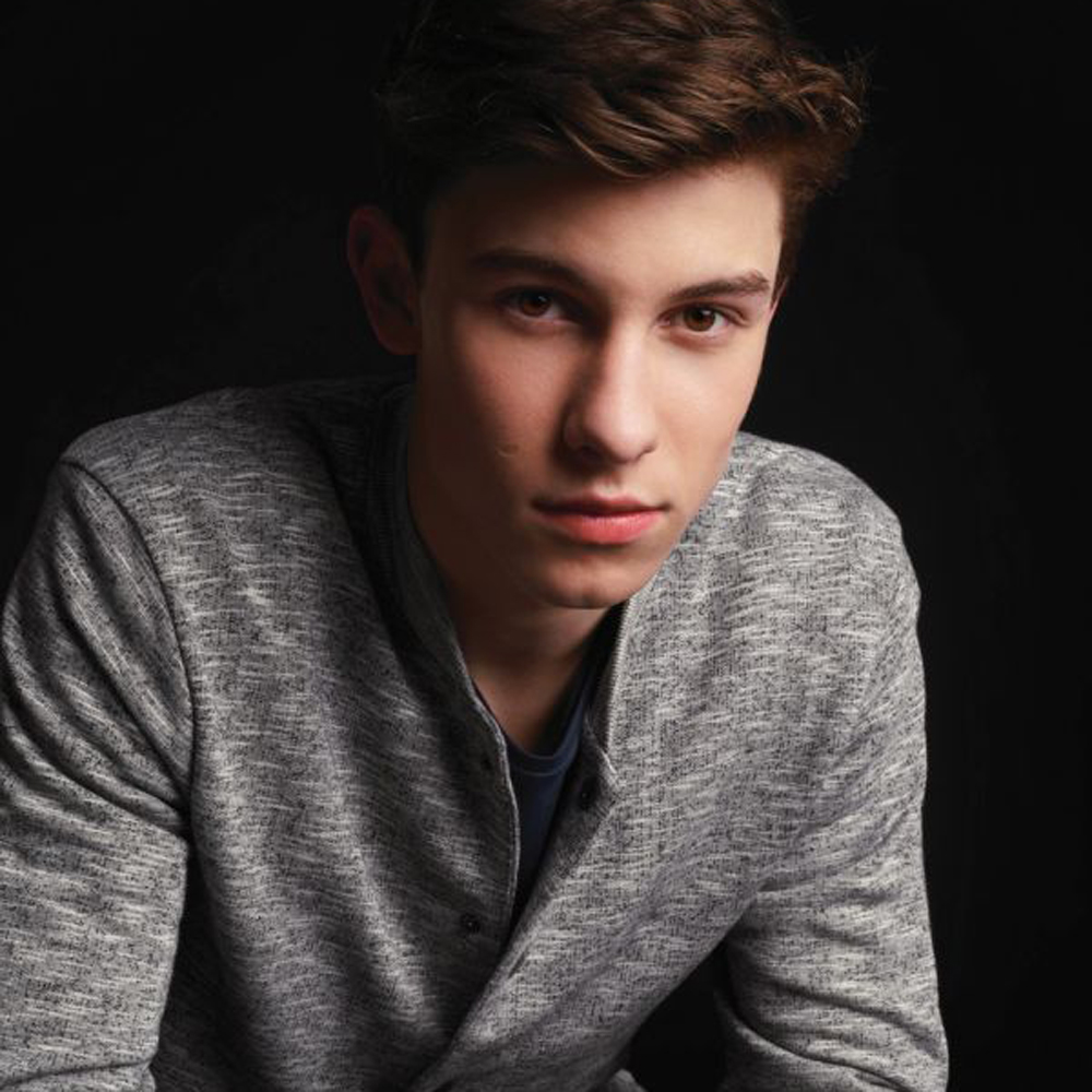 Shawn Mendes, fenomeno pop dai grandi numeri