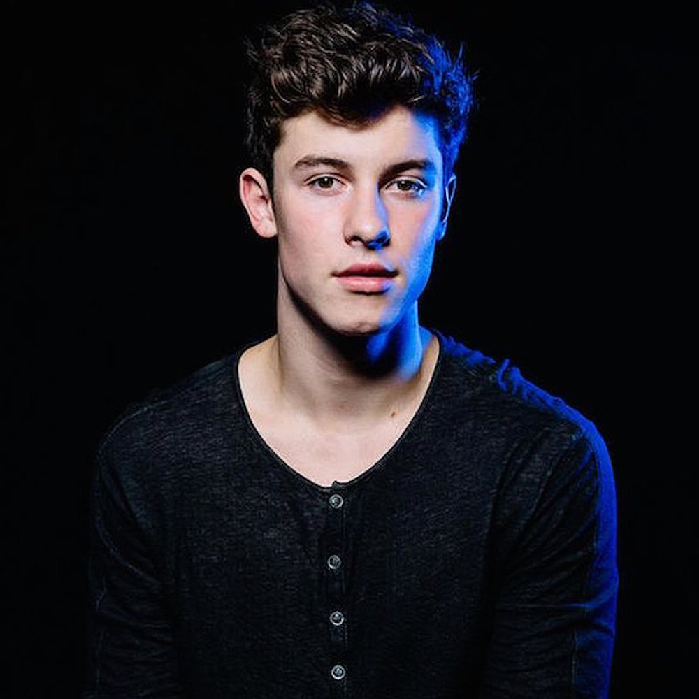 Shawn Mendes, il nuovo singolo “In My Blood”