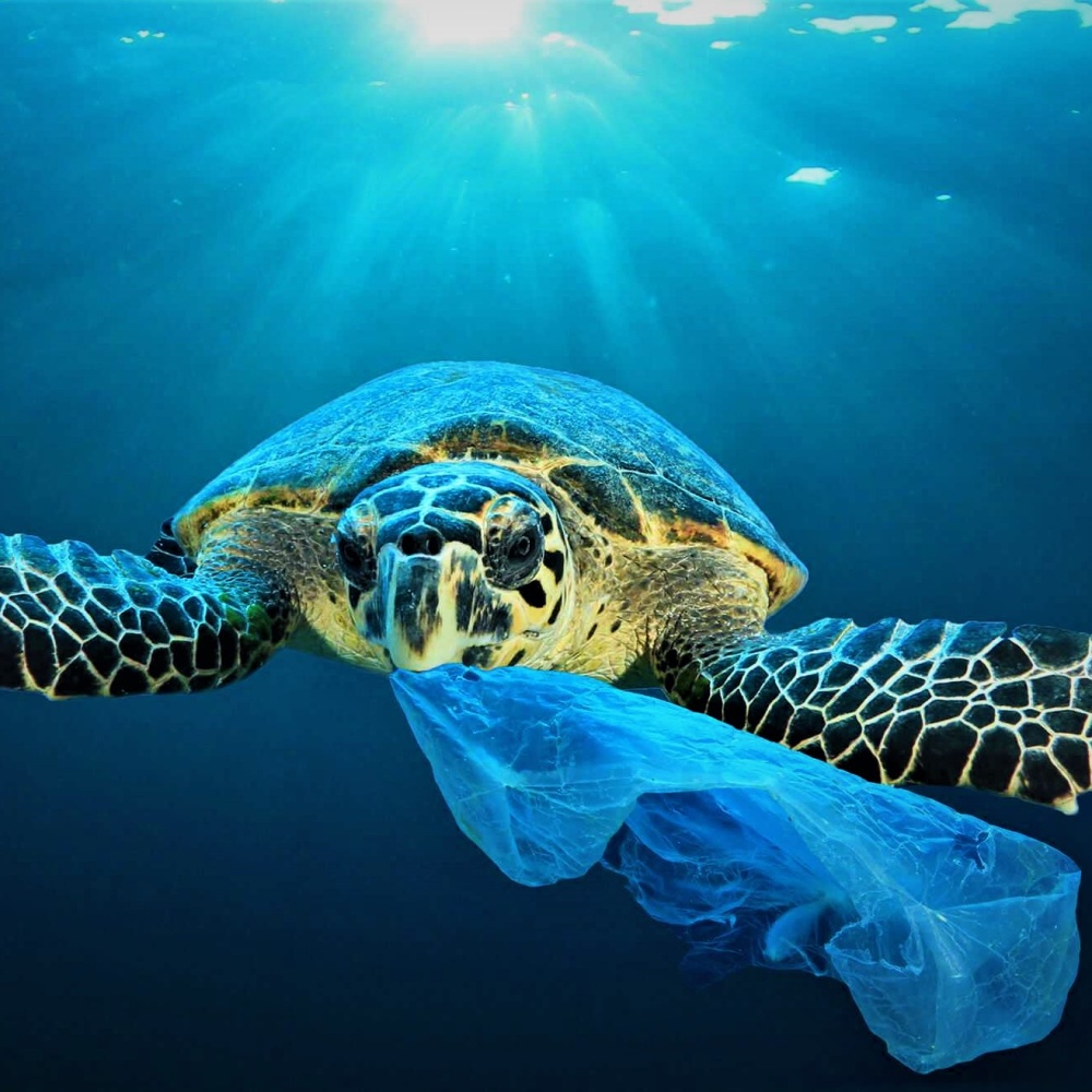 Slow Fish, la plastica è il nemico numero uno dei mari italiani