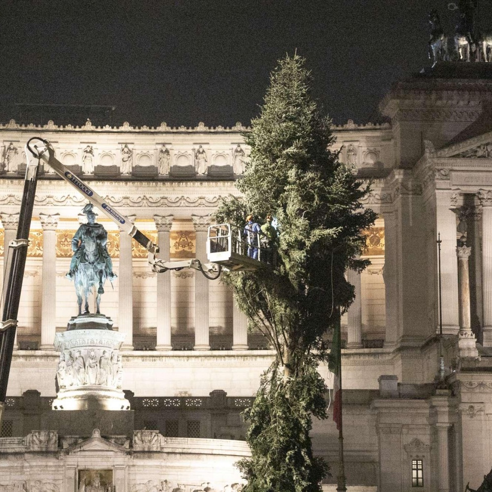 Spelacchio arriva a Roma, ma qualche ramo è già rotto
