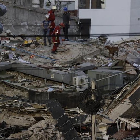 Terremoto in Messico, 245 i morti totali