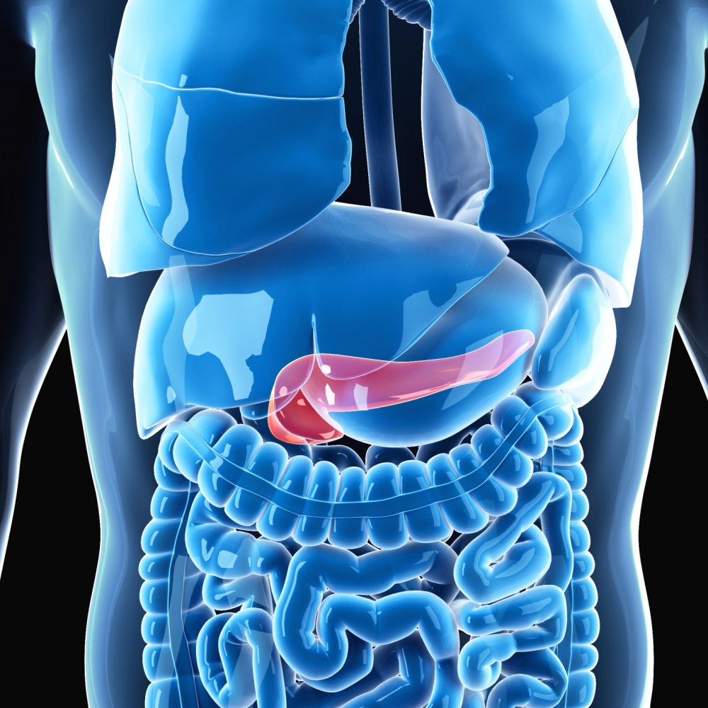 Tumore al pancreas, nuova cura riduce del 47% la progressione