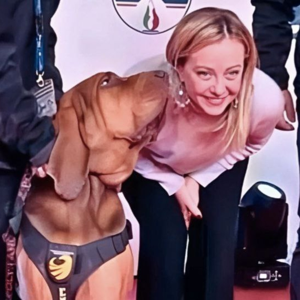 Ucciso nel Centro di addestramento di Taranto il cane Bruno, era stato premiato per aver salvato 9 persone