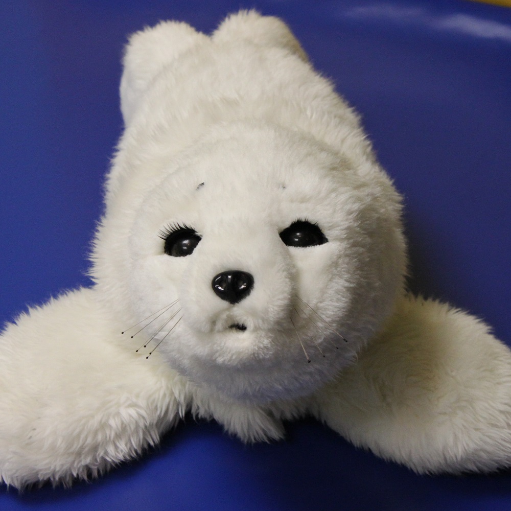 Un robot cucciolo di foca può aiutare a curare gli anziani