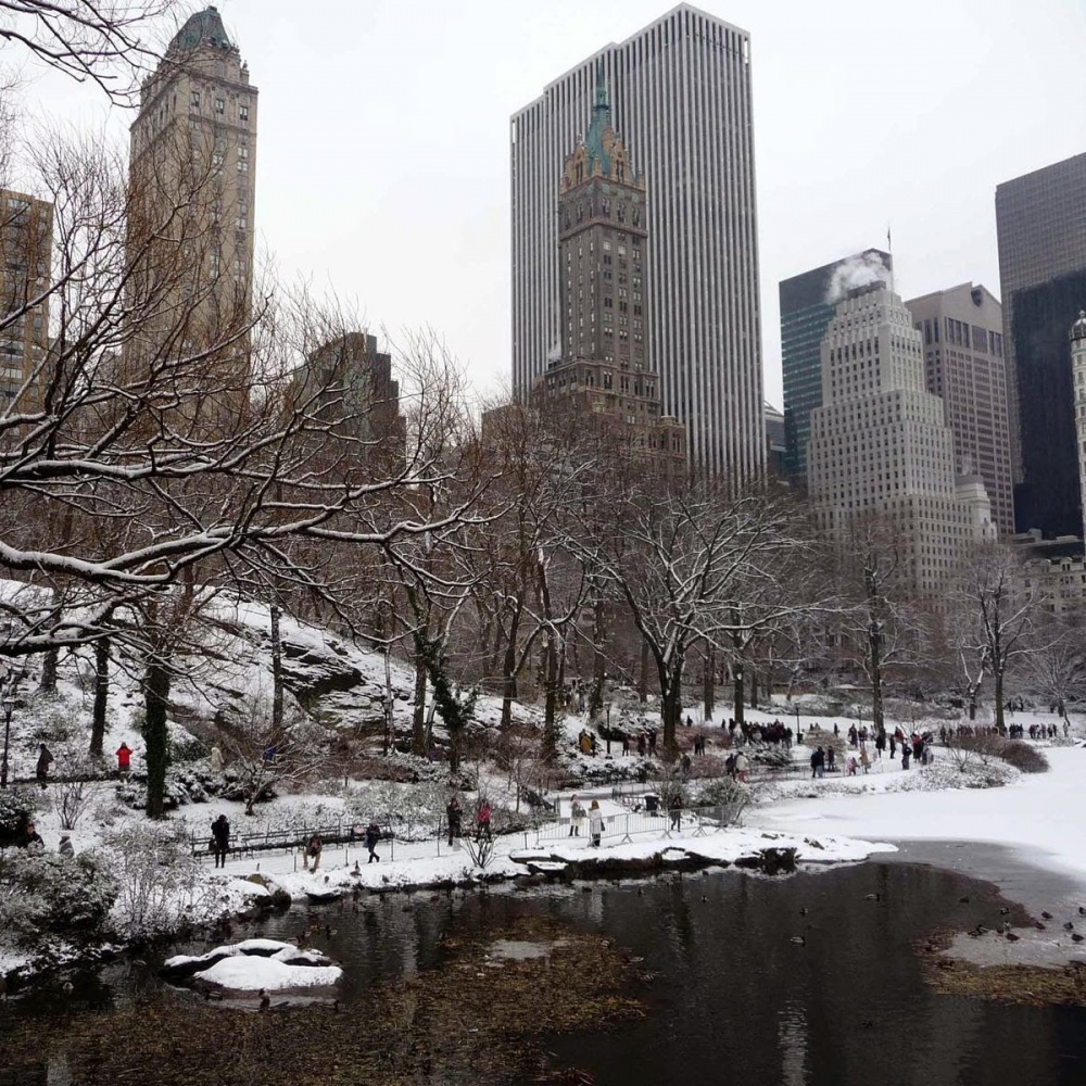 Usa, 8 morti per tempesta di neve, New York paralizzata