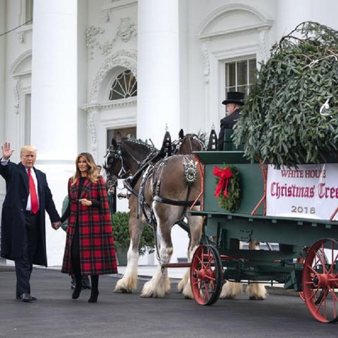 Usa, Natale alla Casa Bianca, è arrivato l'albero