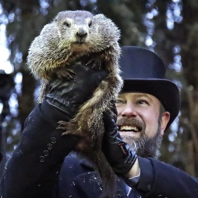 Usa, secondo la marmotta Phil presto sarà primavera