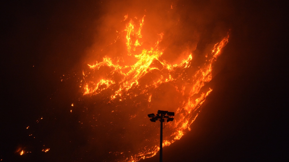 Emergenza roghi in Sicilia: a Palermo le fiamme minacciano la città, incendi nel parco archeologico di Segesta
