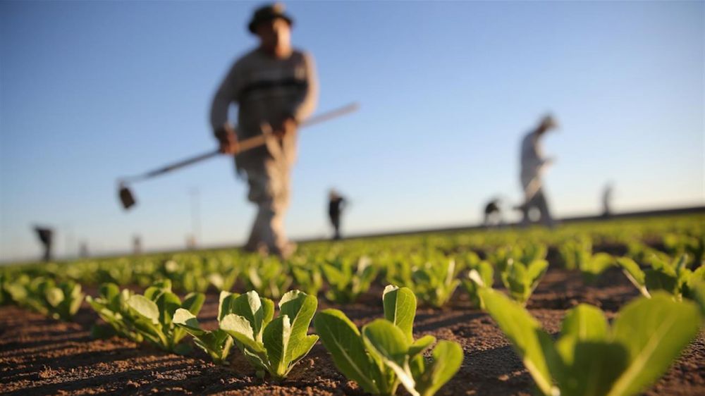 Agricoltura, 14 miliardi di danni in 10 anni a causa dei cambiamenti climatici