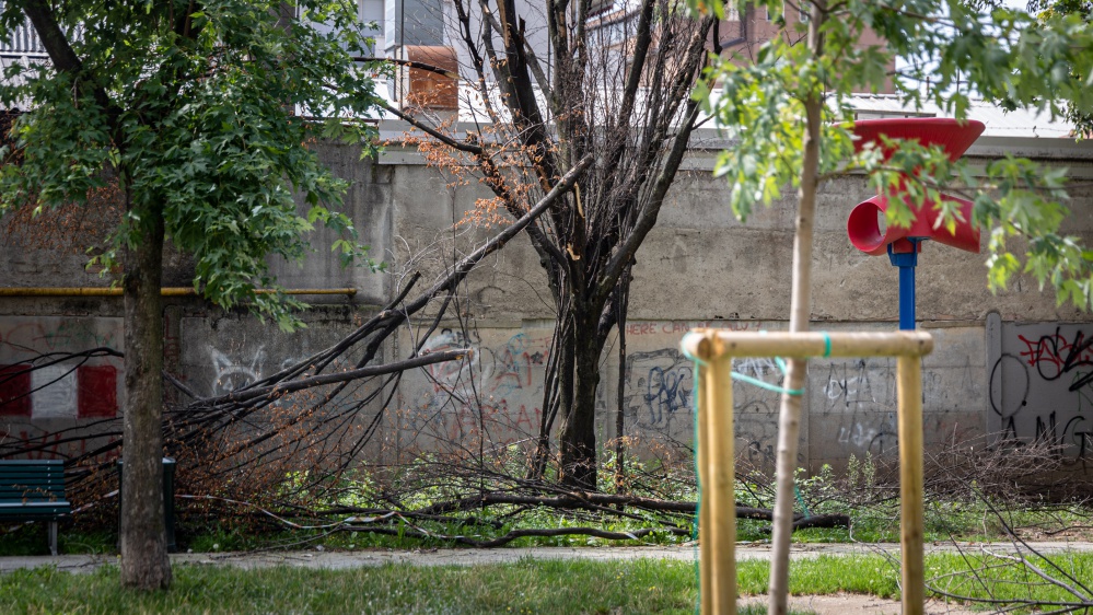 Albero crolla in un parco di Colli Aniene a Roma: muore 45enne, grave l'amica