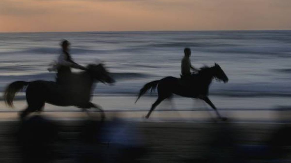 Antichissimo cavallo, scoperta l’origine di uno dei animali più amati dall’uomo, arriva dall’India